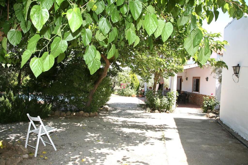 Cazorla-Alcon, Casa Hoya Don Gaspar Pozo Alcon Exterior photo